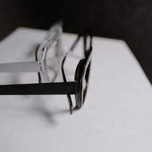 將圖片載入圖庫檢視器 LPLR Eyewear // AVERTUN