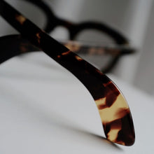 將圖片載入圖庫檢視器 MAX PITTION // POLITICIAN